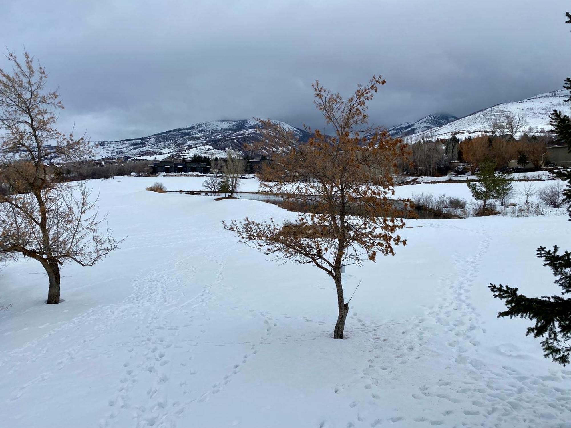Wolf Creek Lodge Condo In Eden, Ut - Relaxing Mountain Retreat Kültér fotó